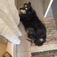 Who’s a good girl?